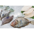 Fresh frozen John Dory